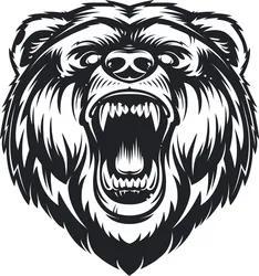 roaring-bear-vector-19961133.webp