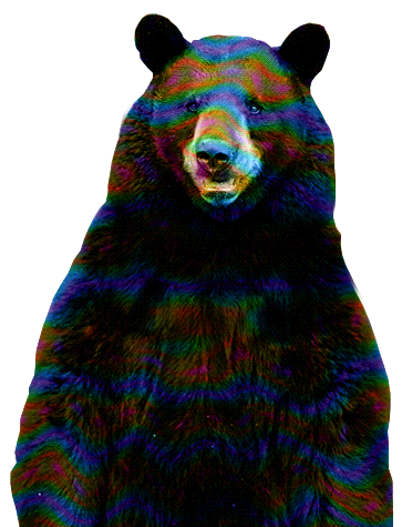 bear.gif
